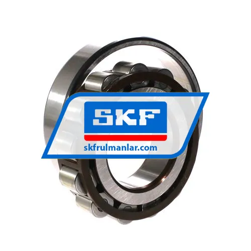 SKF N313ECP ürün fotoğrafı 3