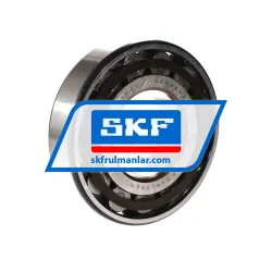 SKF N313ECP