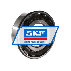 SKF N313ECP rulman resim 2