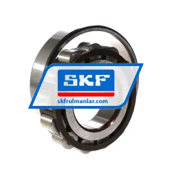 SKF N313ECP rulman resim 3