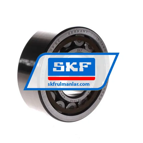 SKF RNU2309ECP