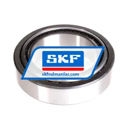 SKF 33019/Q