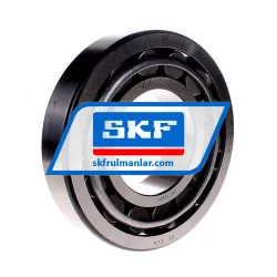 SKF 30319