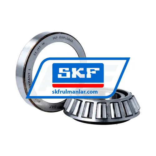 SKF 31309