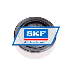 SKF 33206