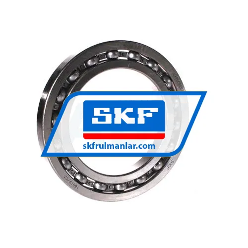 SKF 16019/C3