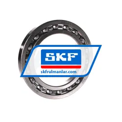 SKF 16019/C3