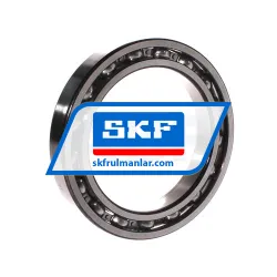 SKF 61917