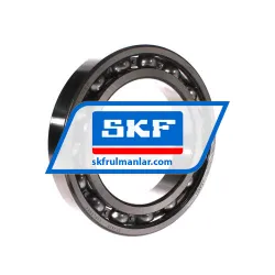 SKF 6026