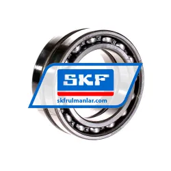 SKF 6013DFC125