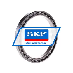 SKF 61821