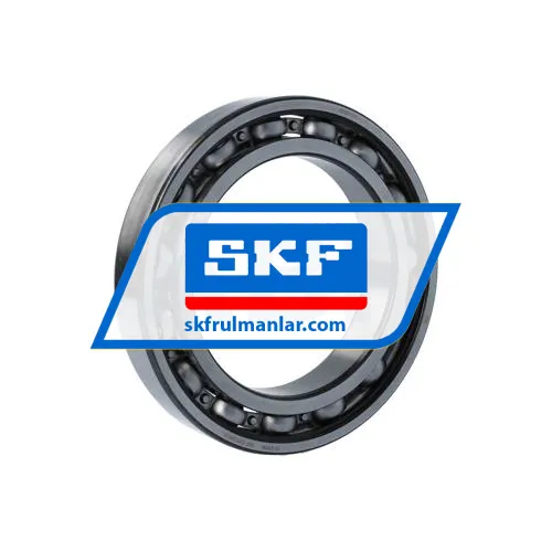 SKF 6020/C4