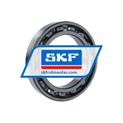 SKF 6020/C4