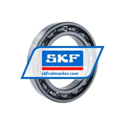 SKF 6020/C4 rulman resim 2