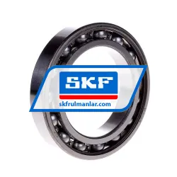 SKF 6013