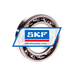 SKF 6009N/C3