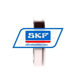 SKF 6009N/C3 rulman resim 3