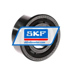 SKF 6004-Z/C3