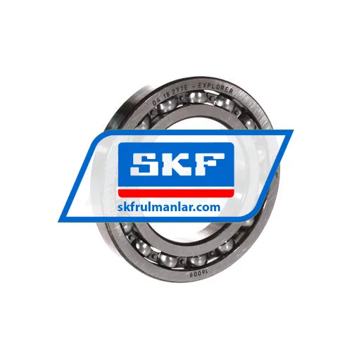 SKF 16009