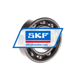 SKF 6005-RS1/QE6