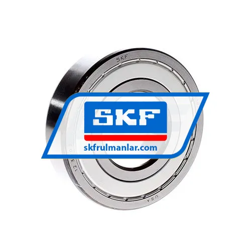 SKF 310-Z