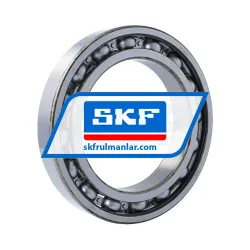 SKF 6028
