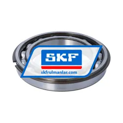 SKF 6020NR