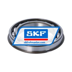 SKF 6020NR rulman resim 2