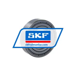 SKF 6005-2Z/C3WT rulman resim 2