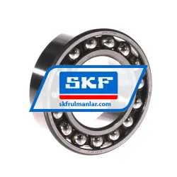 SKF 6010-2RS1/C3