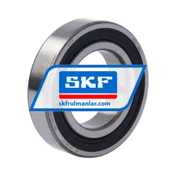 SKF 6007-2RS1