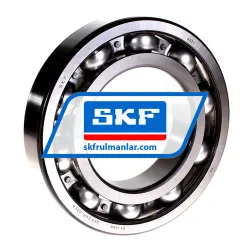 SKF 6221