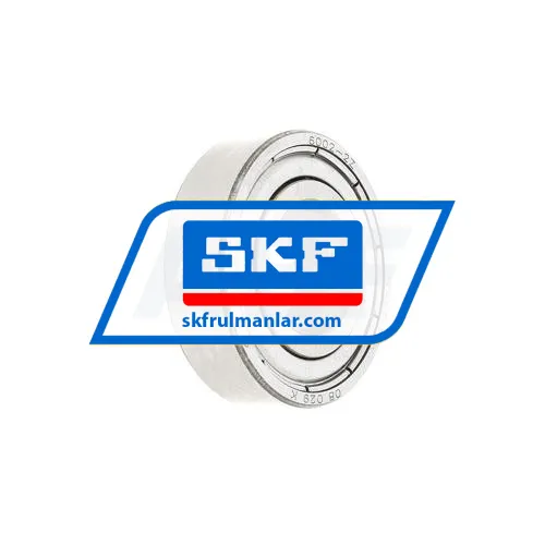 SKF 6002