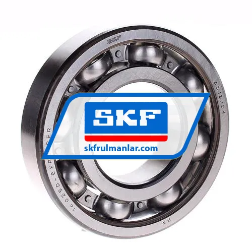 SKF 6313/C4