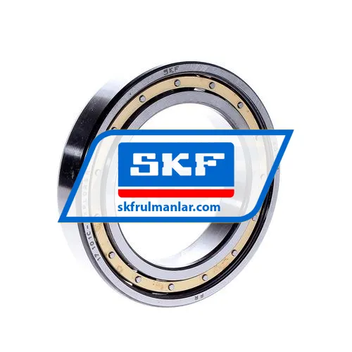 SKF 6015M