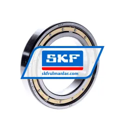 SKF 6015M