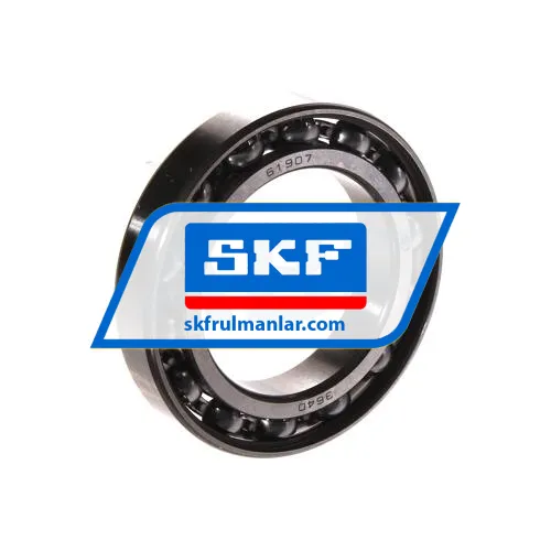 SKF 61907