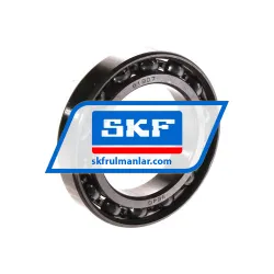 SKF 61907
