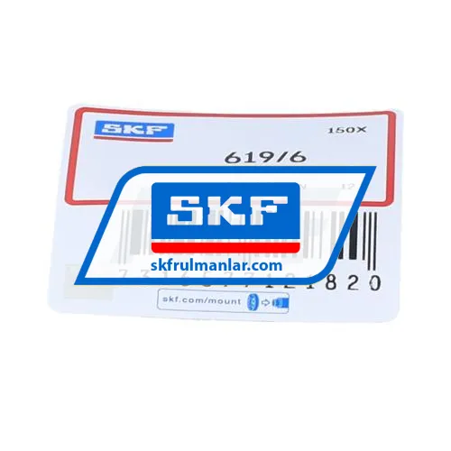 SKF 619/6