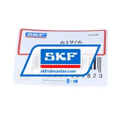 SKF 619/6