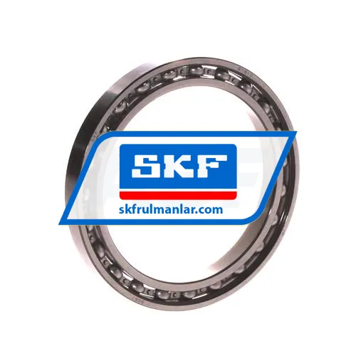 SKF 61810
