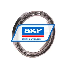 SKF 61810