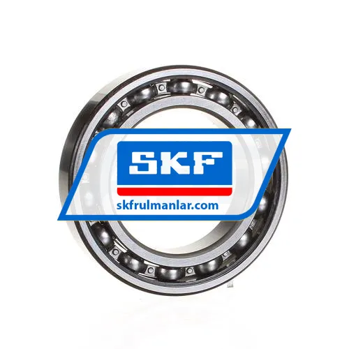 SKF 6010NR