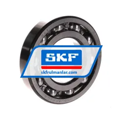 SKF RLS16