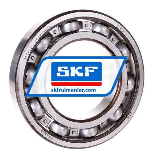 SKF 6219