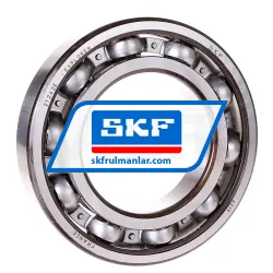 SKF 6219