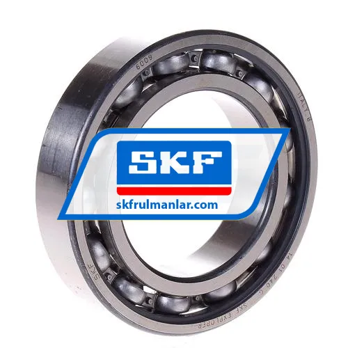 SKF 6009