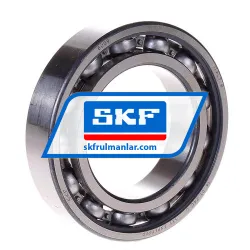 SKF 6009