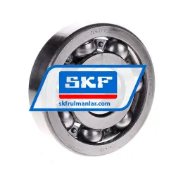 SKF 6407