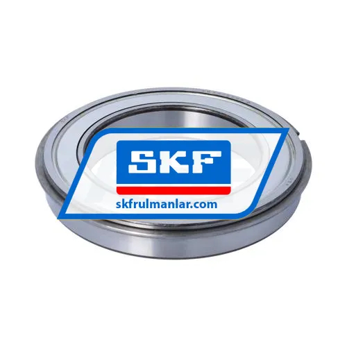 SKF 6020-2ZNR
